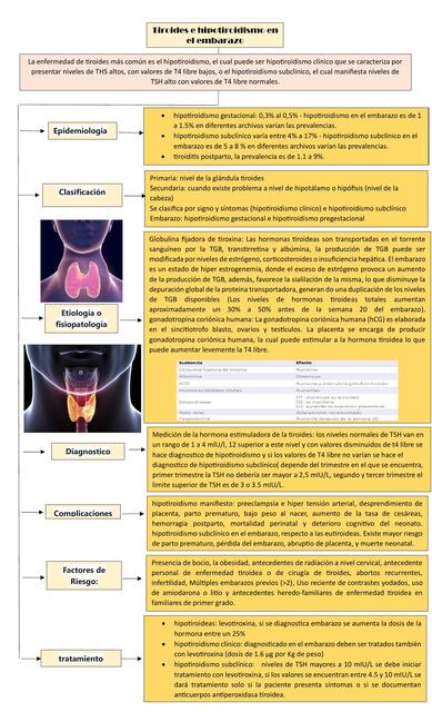 Tiroides e hipotiroidismo 