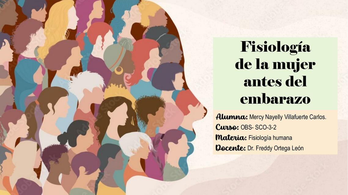 Fisiología de la Mujer antes del Embarazo