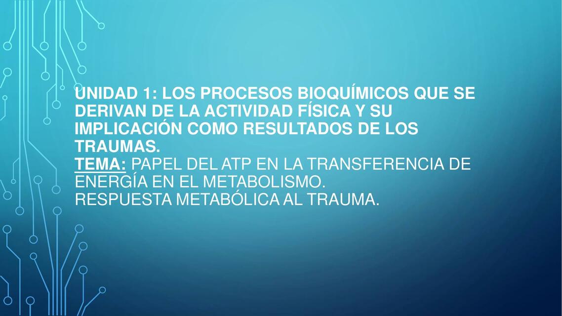 Papel del ATP en la transferencia de energía en el metabolismo 