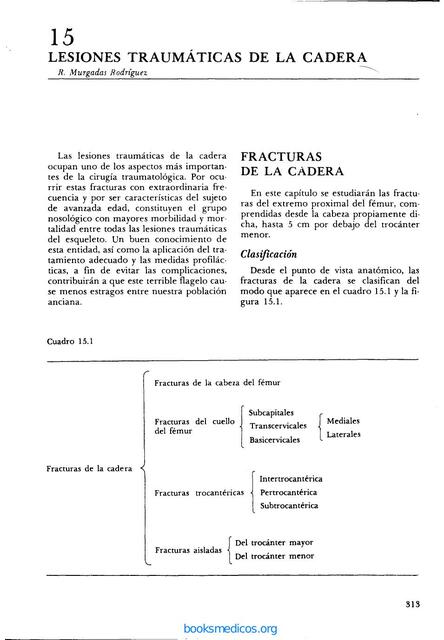 Lesiones Traumáticas de la Cadera 