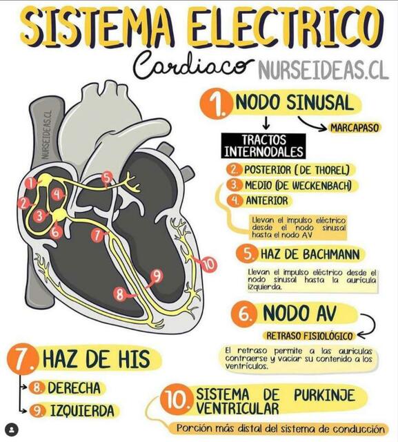 sistema-electrico-yudoc-org-udocz