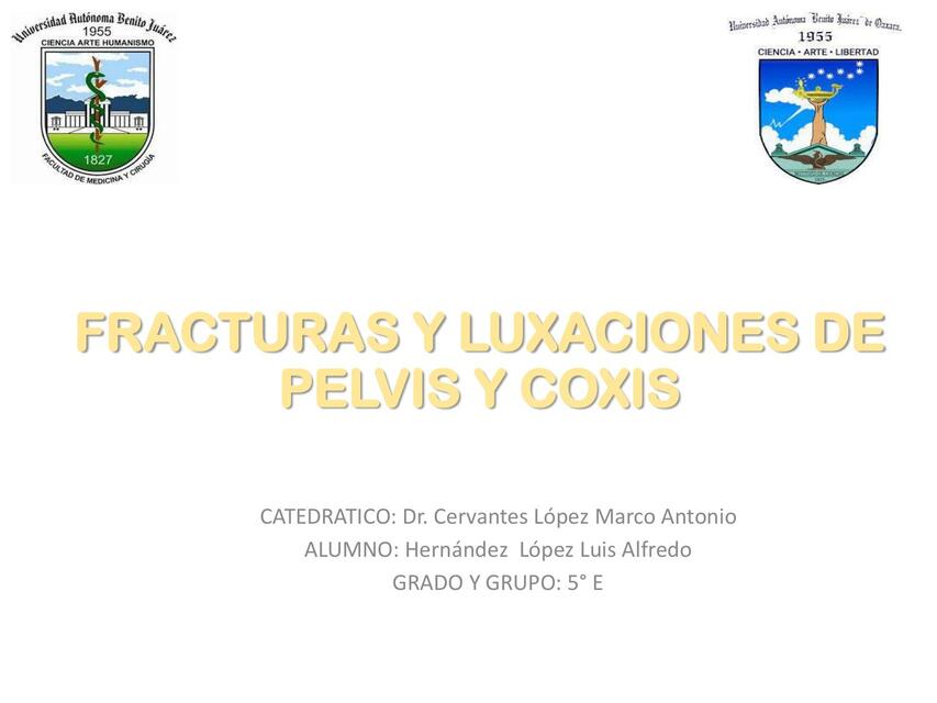 Fracturas y Luxaciones de Pelvis y Coxis 