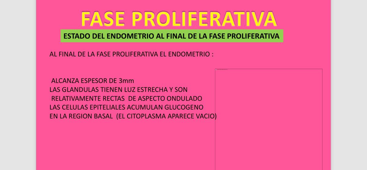 Fase proliferativa 