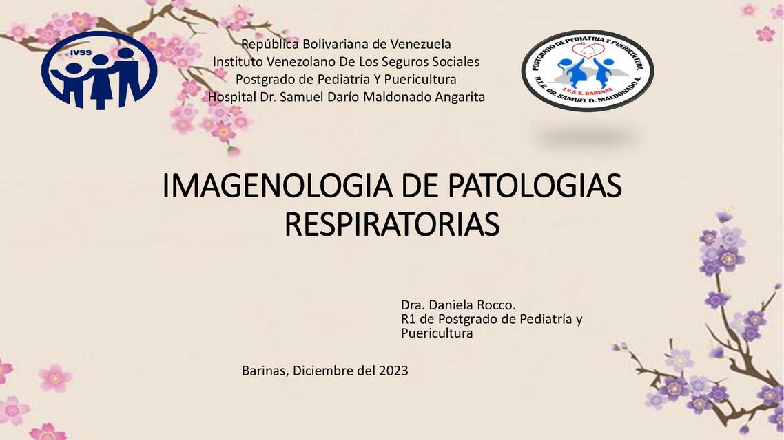 Imagenología de Patologías Respiratorias 