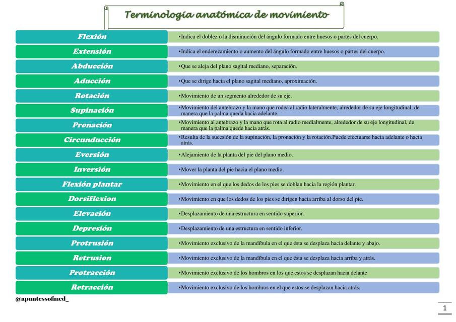 Terminología Anatómica de Movimiento