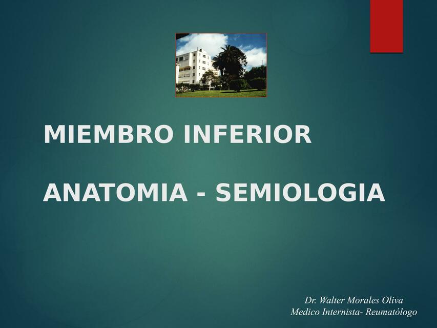 Miembro Inferior- Anatomía- Semiología 