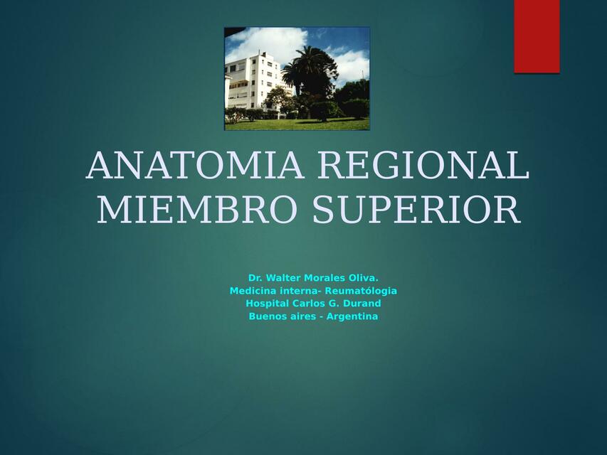 Anatomía regional del miembro superior