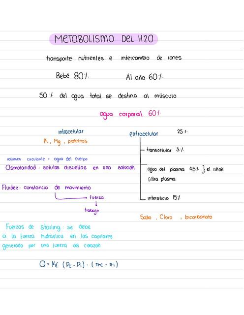 Metabolismo del H2O