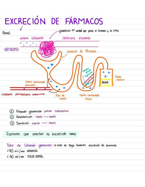 Excreción de fármacos