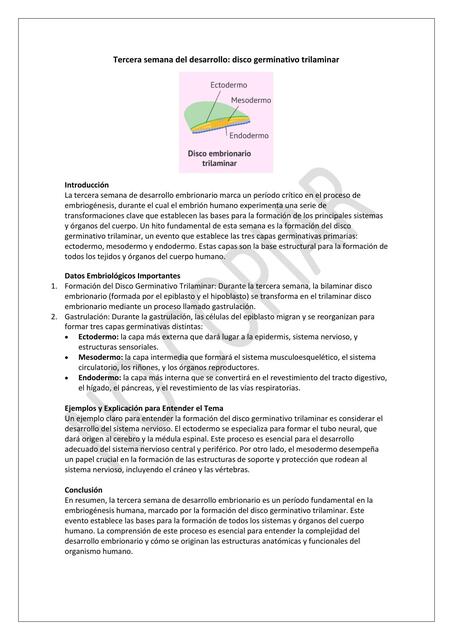 Tercera Semana del Desarrollo: Disco Geminativo Trilaminar 