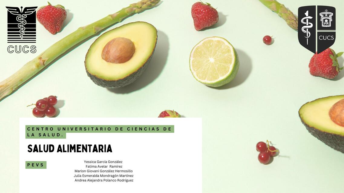 Salud Alimentaria 