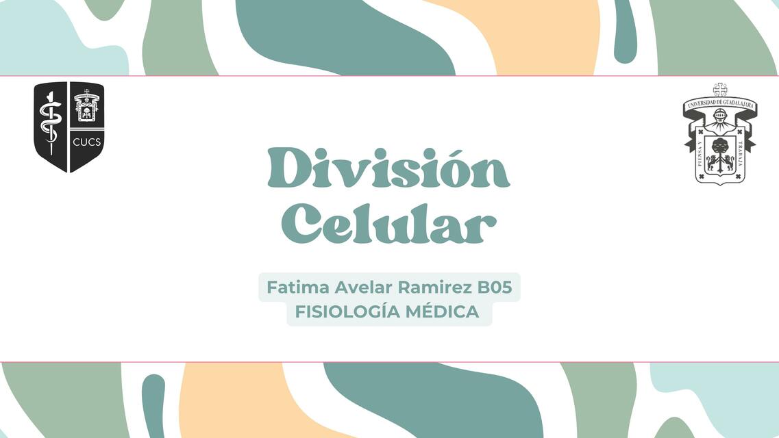 División Celular 