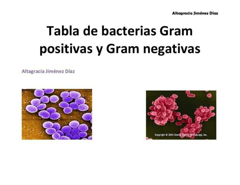 Tabla de Bacterias Gram Positivas y Gram Negativas | Eduardo Poma | uDocz