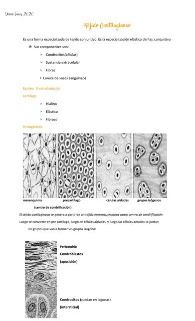 Tejido Cartilaginoso