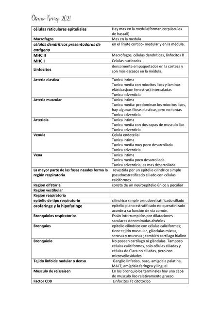 Células Reticulares Epiteliales 