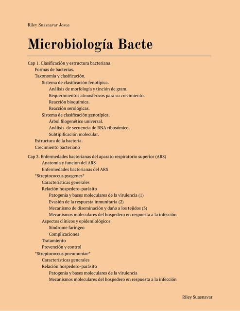 Microbiología Bacteria 