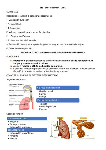 Sistema respiratorio