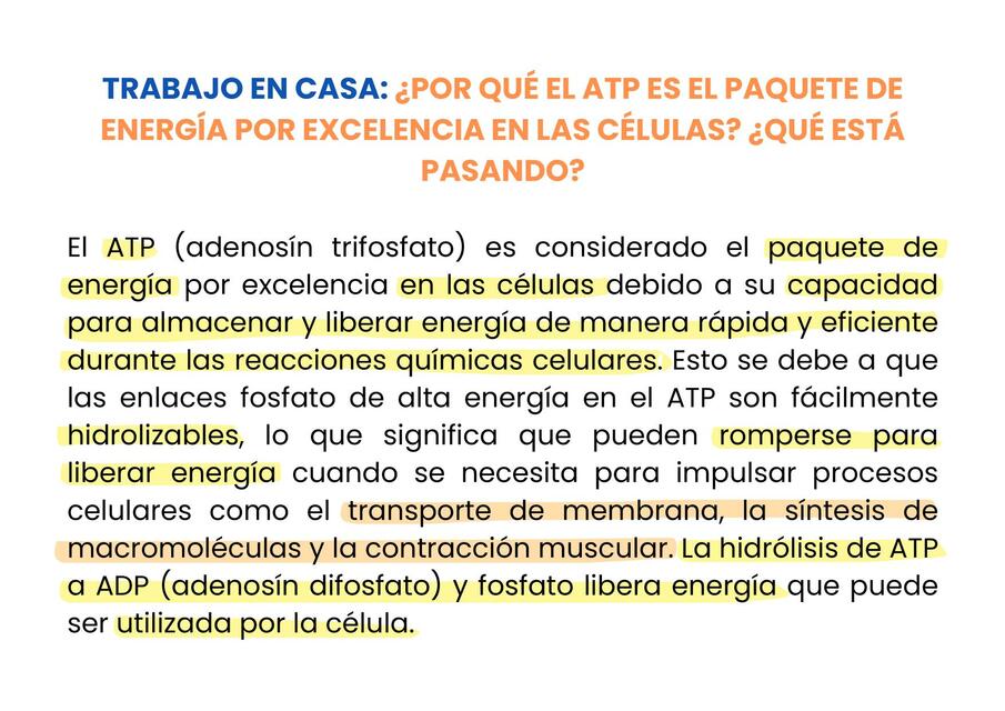 Flashcards METABOLISMO