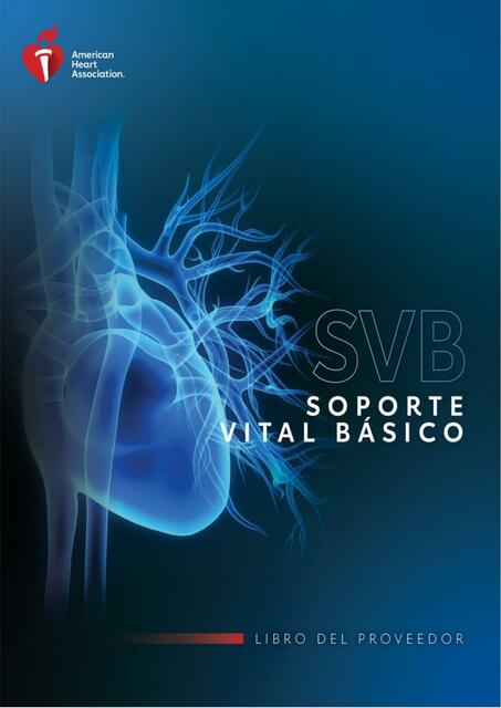 Soporte Vital Basico