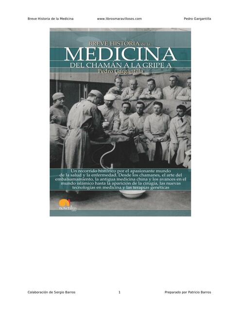 Breve historia de la medicina del chamán a la gripe A