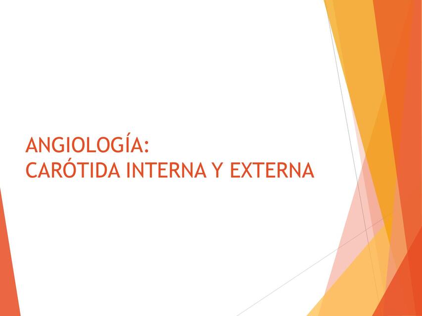 Angiología: carótida interna y externa 