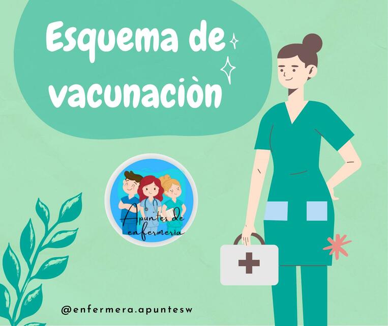 Esquema de vacunación