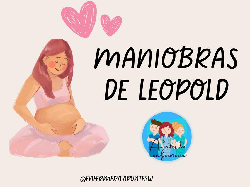 MANIOBRAS DE LEOPOLD