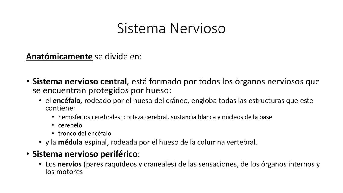 Sistema Nervioso Estructuras