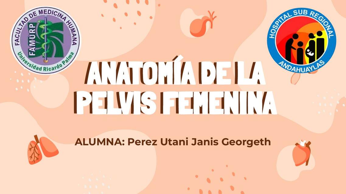 anatomia de la pelvis femenina