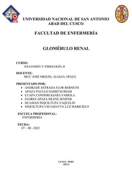 Glomérulo Renal 