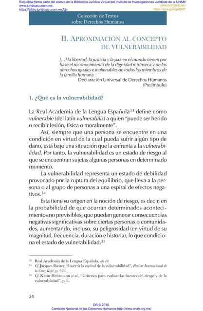 Aproximación al Concepto de Vulnerabilidad 