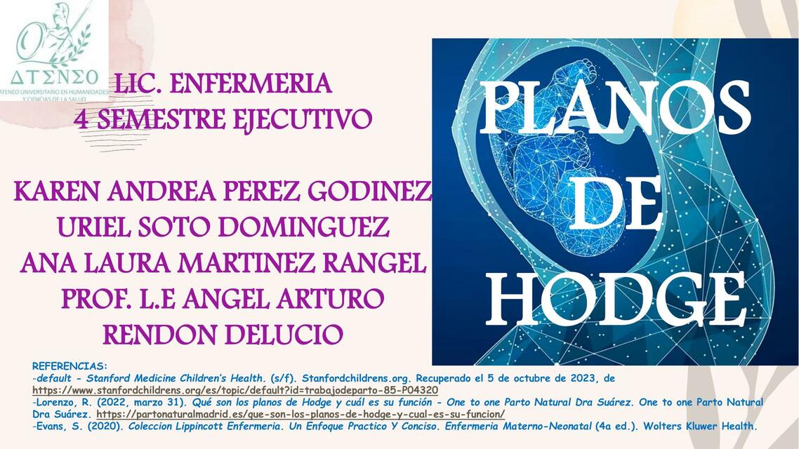 PLANOS HODGE