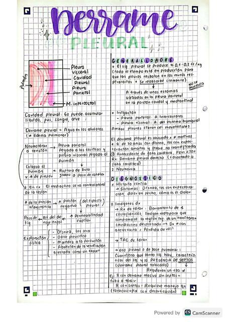 Derrame Pleural 