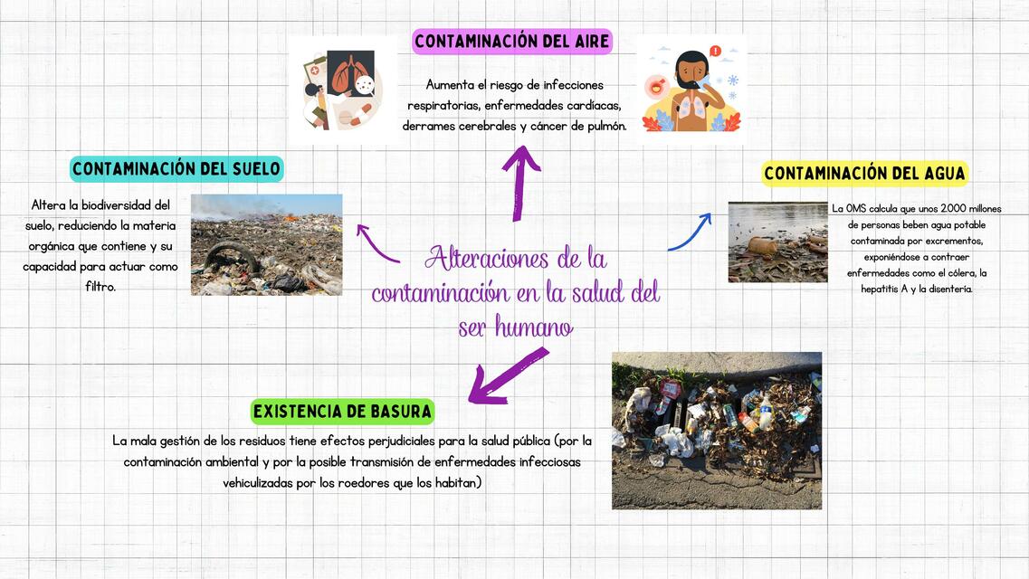 Alteraciones de la Contaminación en la Salud del Ser Humano