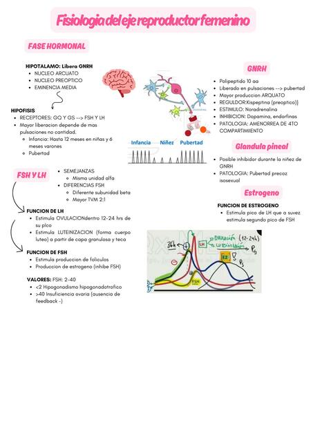 Fisiologia reproductiva: Hormonas