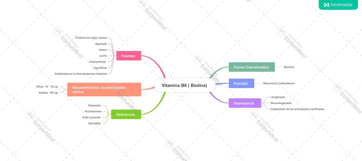 Vitamina B8 (Biotina)