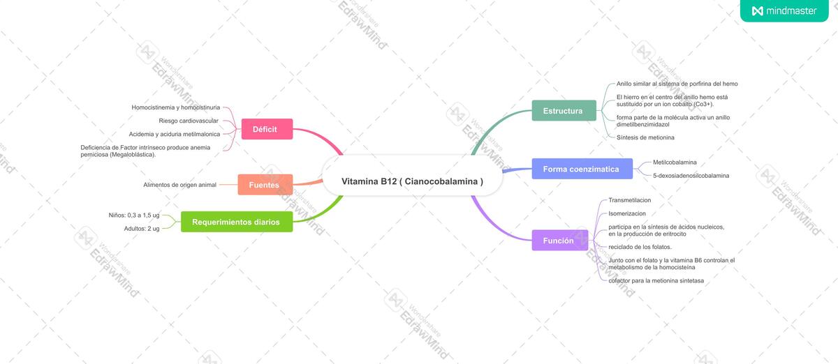 Vitamina B12 (Cianocobalamina) 