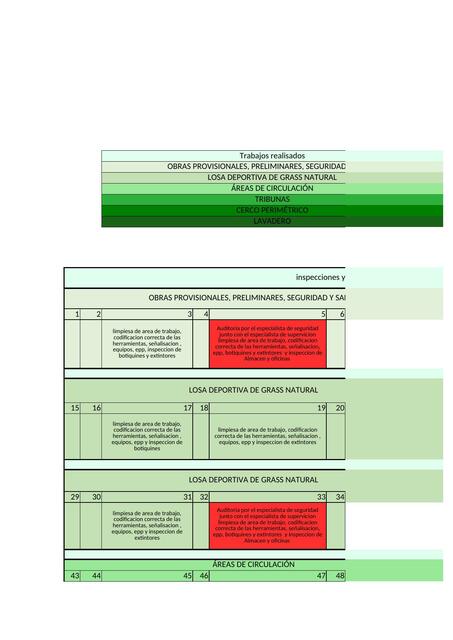 Cuadro de programcion de inspecciondes y auditoria