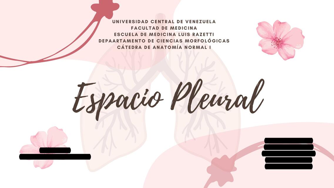 Espacio Pleural 