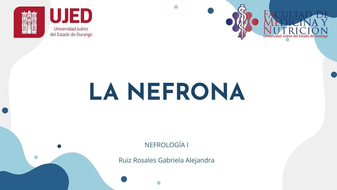 La Nefrona