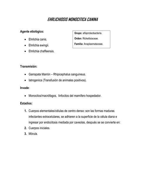 Enfermedades infecciosas caninos - EHRLICHIOSIS CANINA