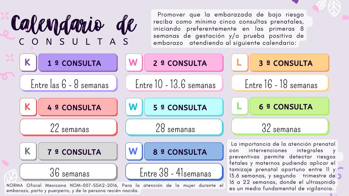 Calendario de consultas en el Embarazo