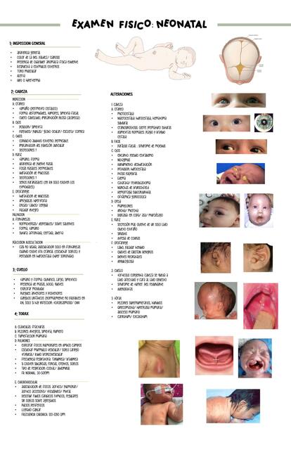 Informe examen físico neonatal