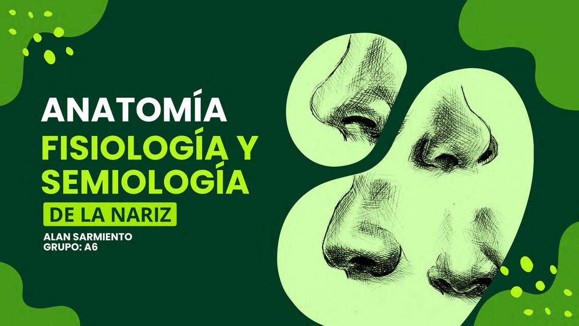 Anatomía, Fisiología y Semiología del Nariz 