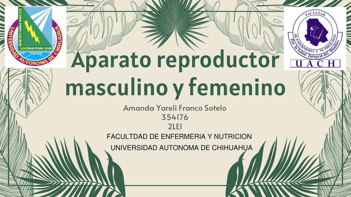 Aparato Reproductor Masculino y Femenino 