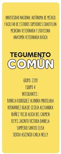 Tegumento Común