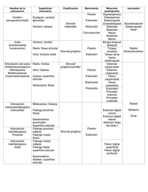 Cuadro Integrativo Miembro Torácico