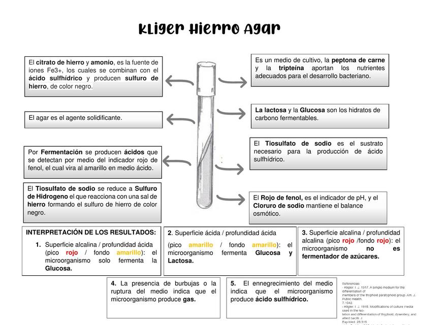 Kliger Hierro Agar BACTERIOLOGÍA