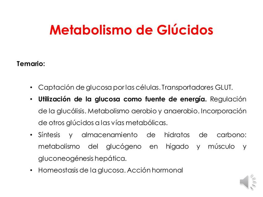 Metabolismo de glúcidos 