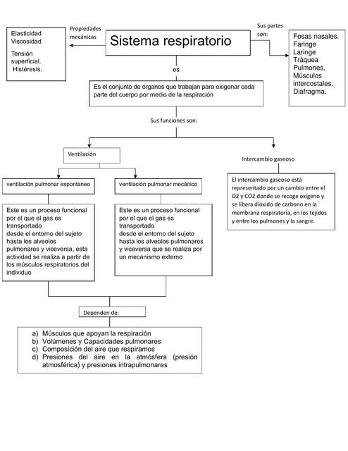 Mapa Conceptual Sistema Respiratorio